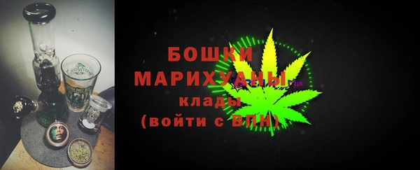 СК Богородск