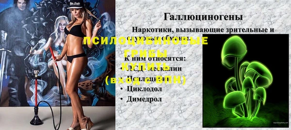 стаф Богородицк