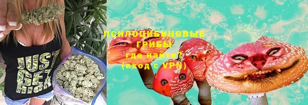 амф Бугульма