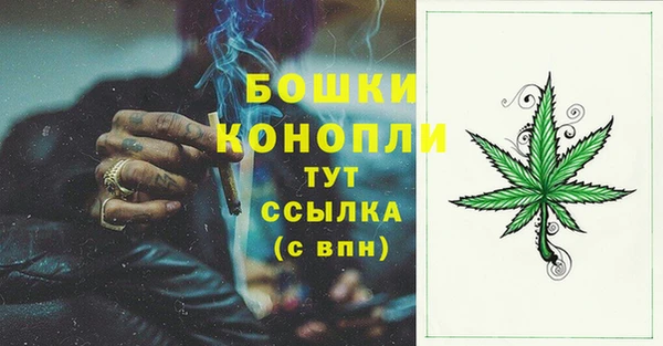 СК Богородск