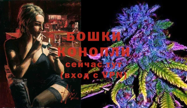 стаф Богородицк