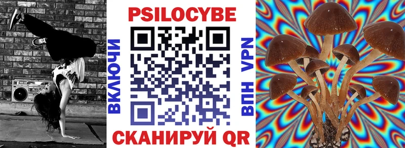 где купить   Мурманск  Псилоцибиновые грибы ЛСД 