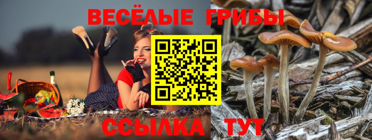  Кокаин Мурманск