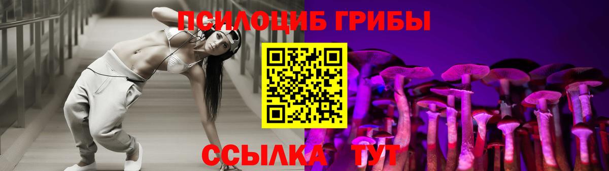 Мурманск  Псилоцибиновые грибы Magic Shrooms  Вход с VPN  Галлюциногенные грибы Magic Shrooms 